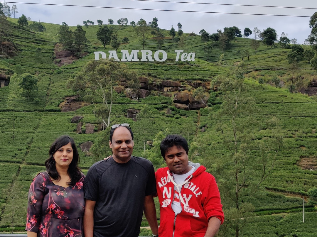 Looking Sri Lanka Tours-佩拉德尼亚必去景点