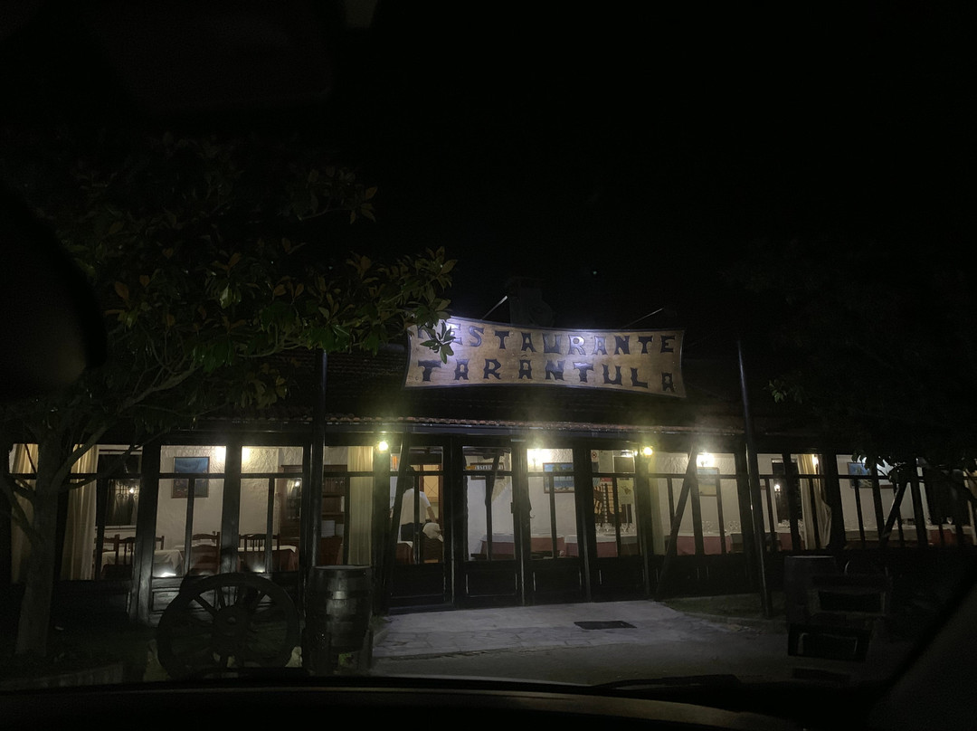 Campia旅游攻略图片