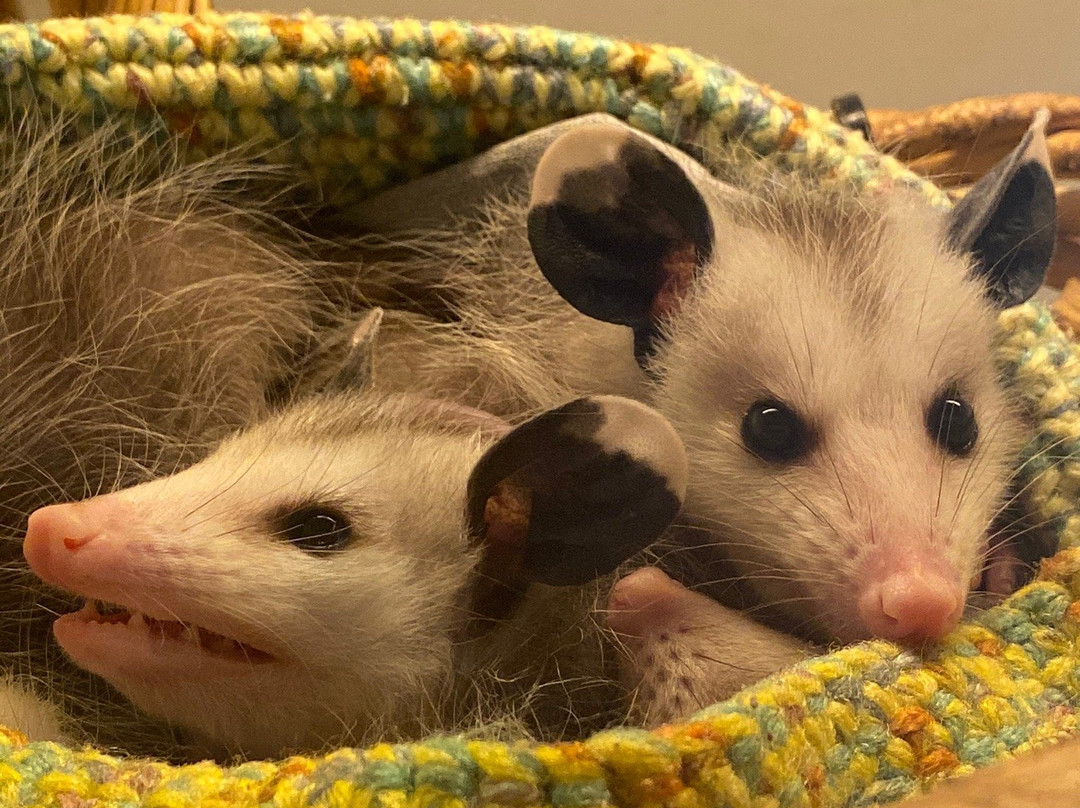 Sweetbriar Nature Center-Smithtown必去景点