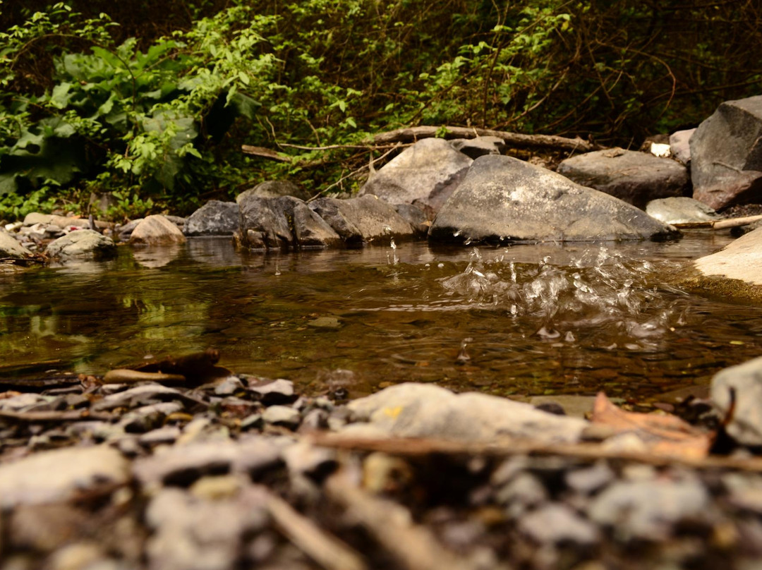 圣洛伦索旅游景点-Reserva del Huaico