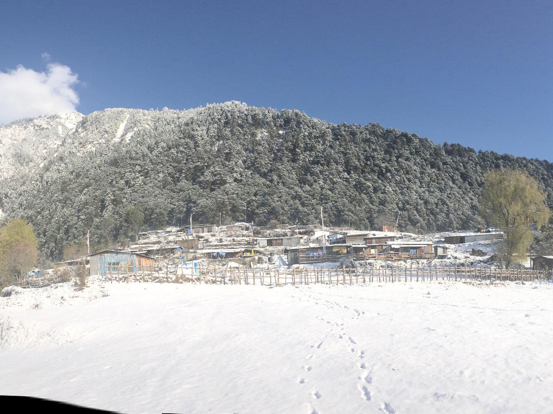 Hotel Eco Friendly Pvt Ltd主图