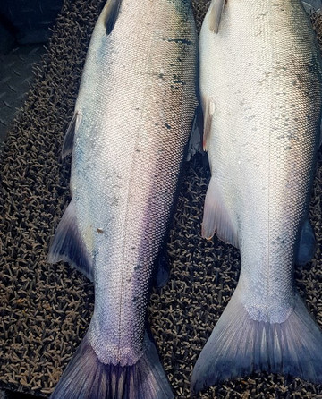 The River Crew-索尔多特纳必去景点