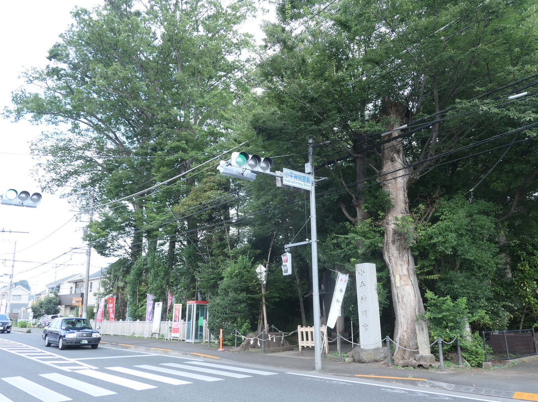 Kodaira Shimmei-gu-小平市必去景点