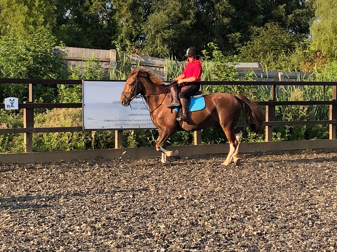 Hill Farm Stables Riding School景点图片