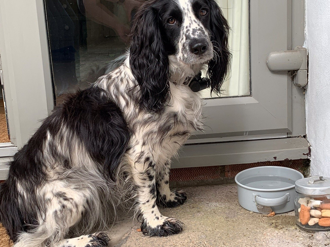 Westbury Cross House主图