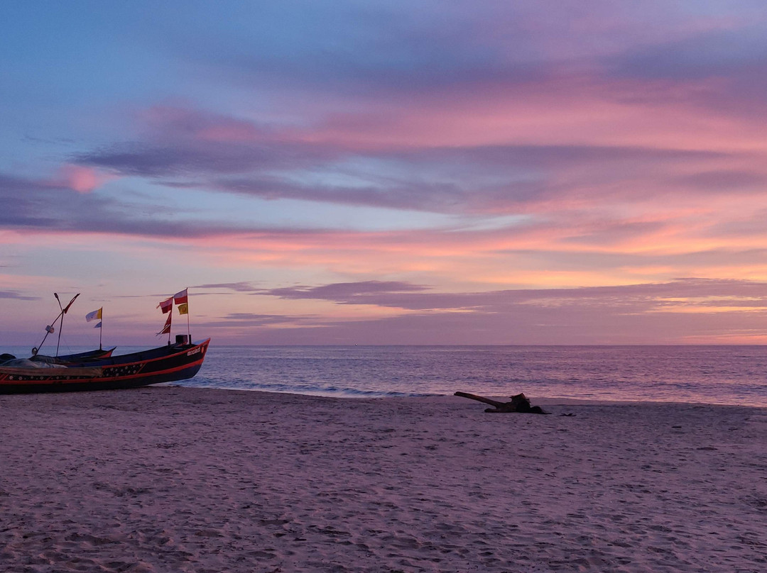 Seclude Marari Sands, Kerala主图