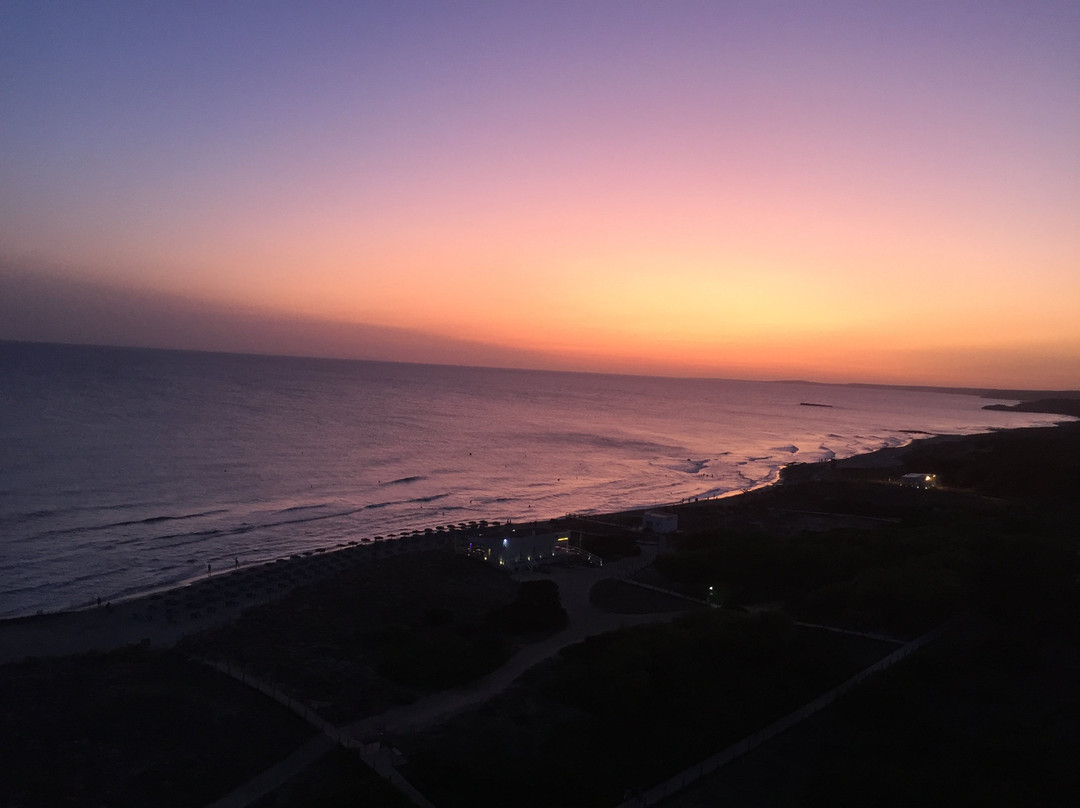 Sol Milanos Pinguinos主图