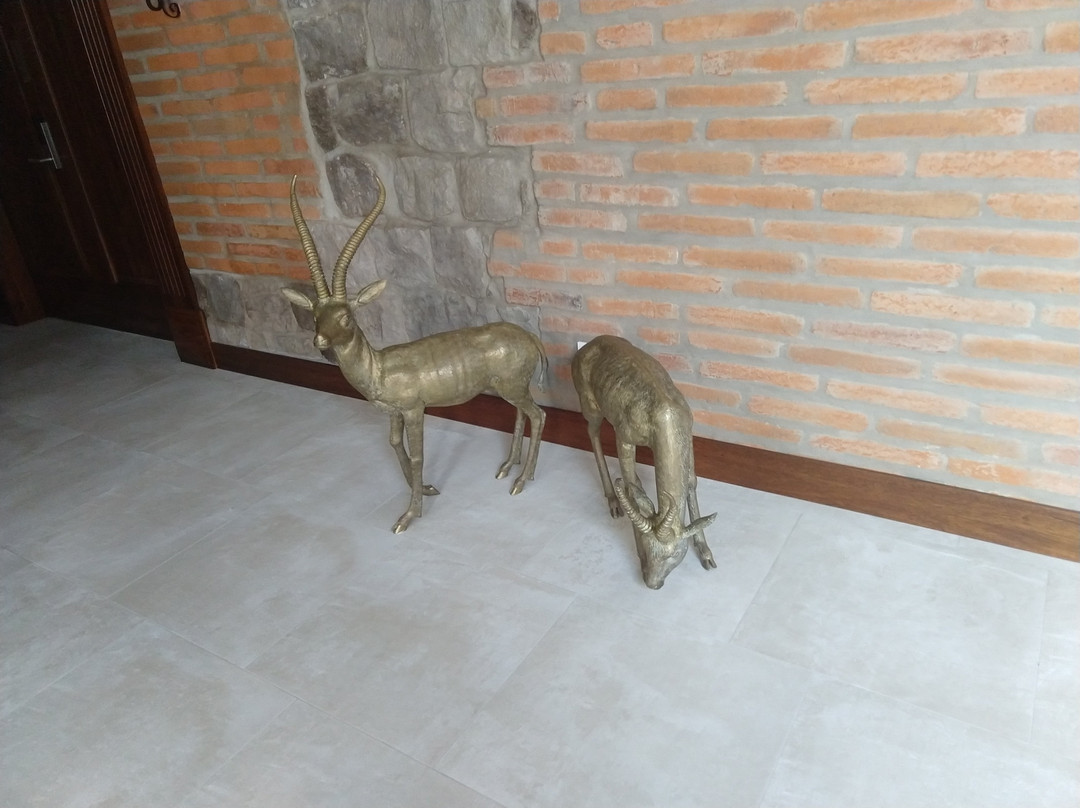 Hotel Otávalo主图