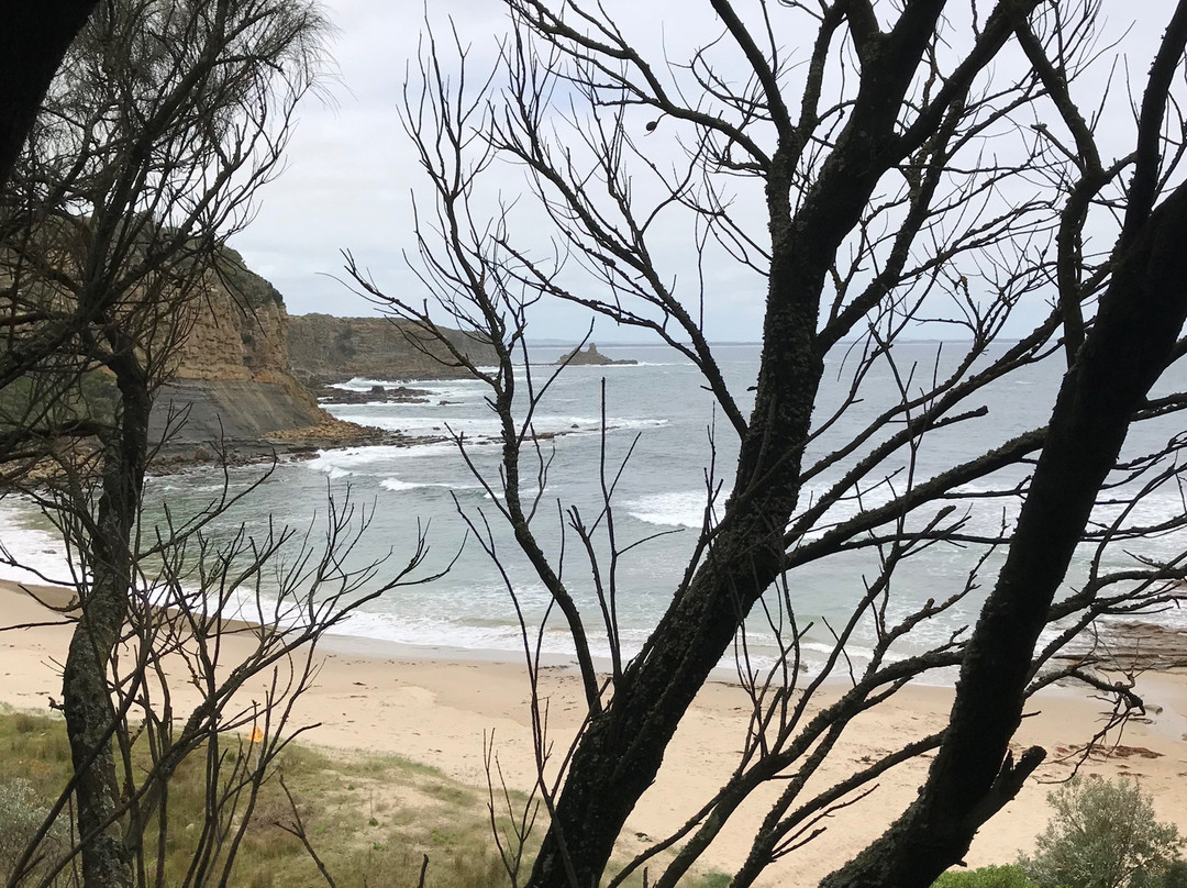 Shack Bay-Inverloch必去景点