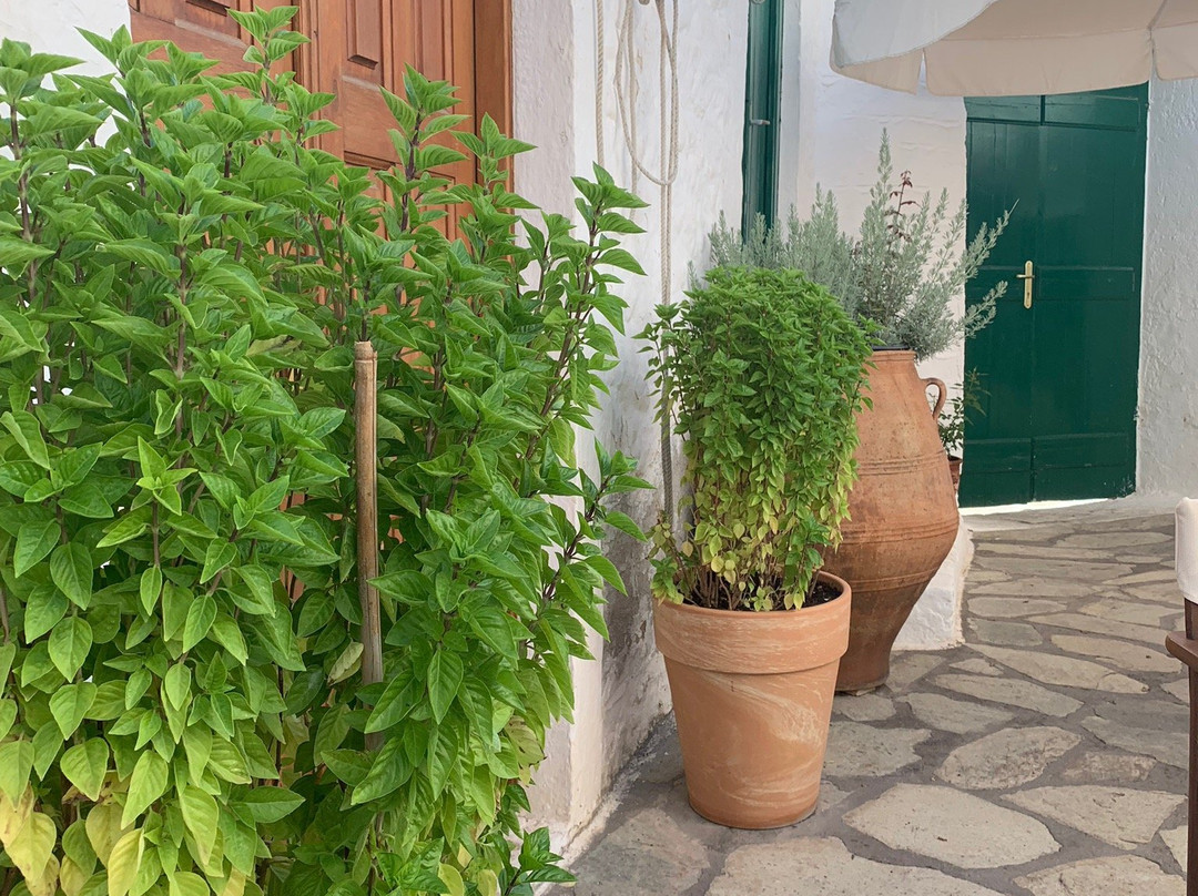 Villa Kalomira主图