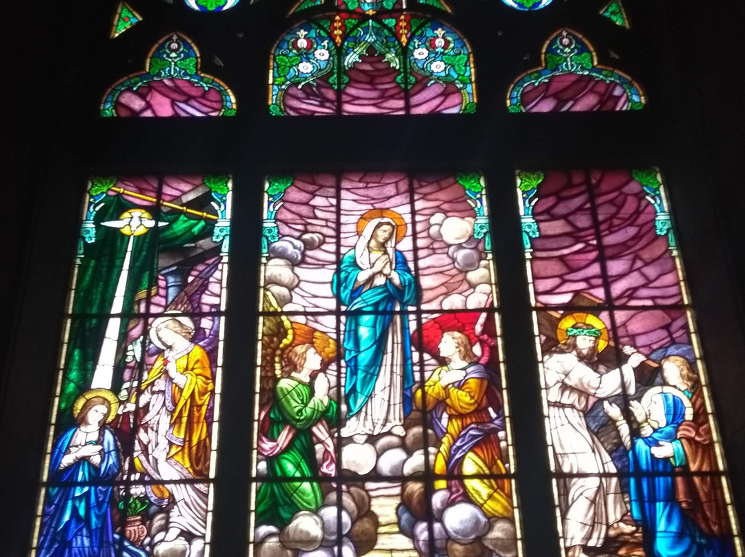 Catedral de São Pedro de Alcântara景点图片