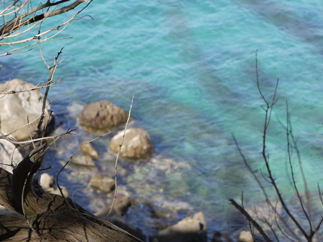 Cala S'Illot des Rencli景点图片
