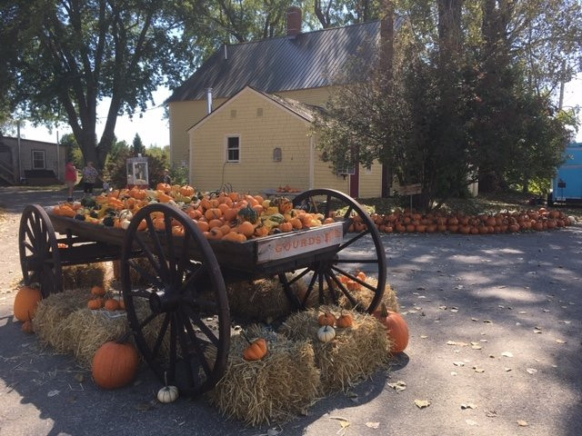 Doles Orchard-Limington必去景点