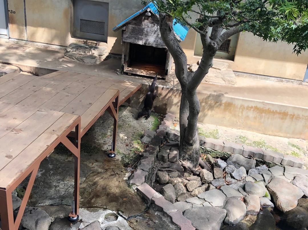 Ichikawa City Zoo-市川市必去景点