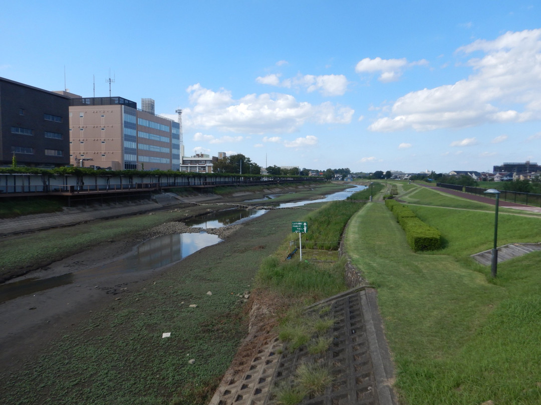 Kasai Shinsui Ryokudo-越谷市必去景点