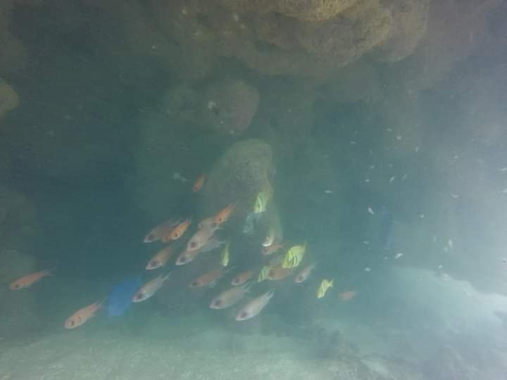 Porto Dive-伊波茹卡必去景点