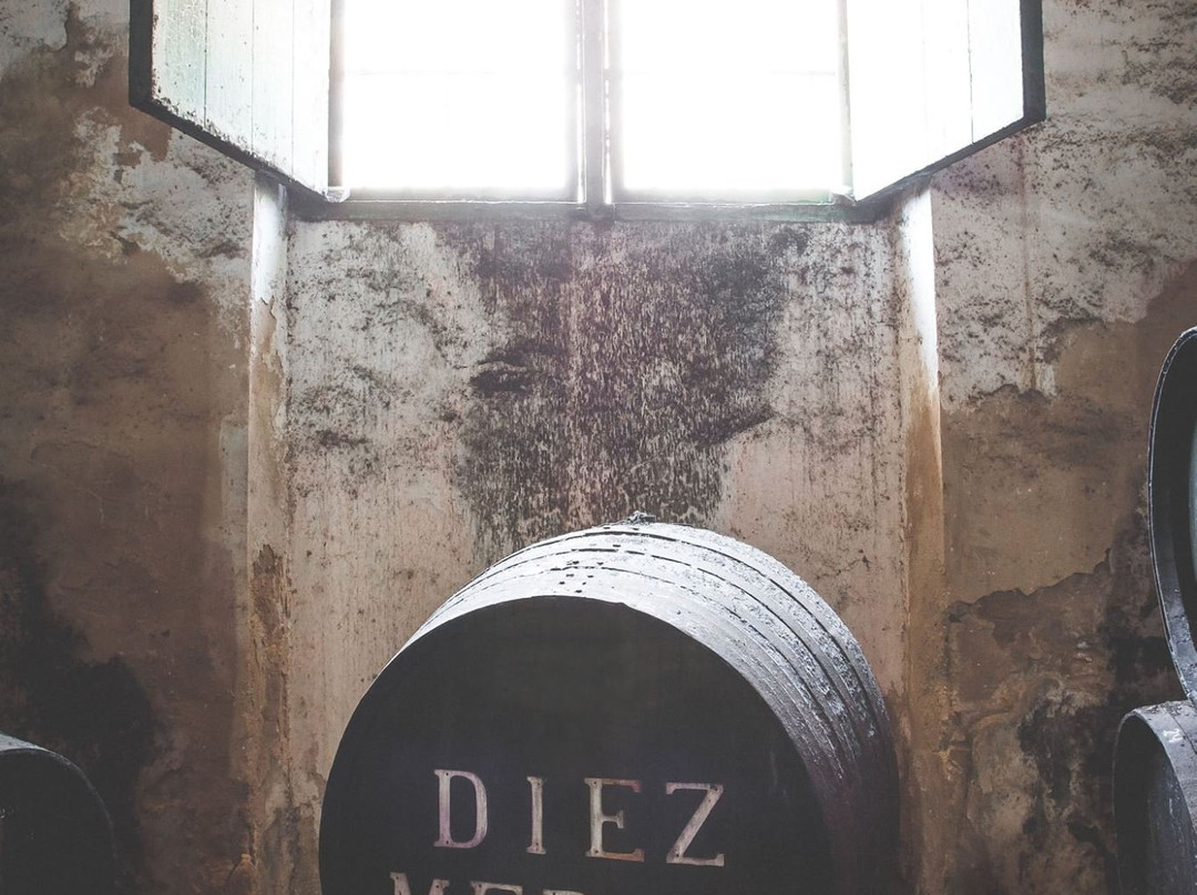 Despacho de Vinos Díez Mérito, Bodega El Cuadro