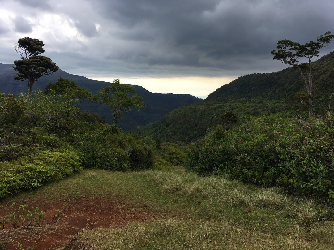 Macchabee Viewpoint-黑河必去景点