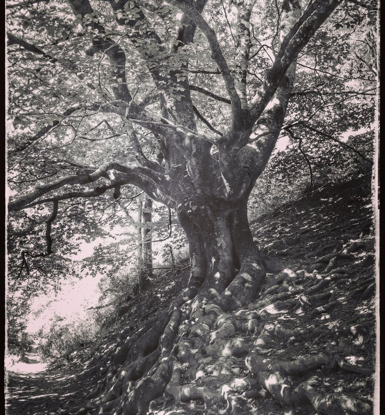 Molino del Infierno/Infernuko-Etxalar必去景点