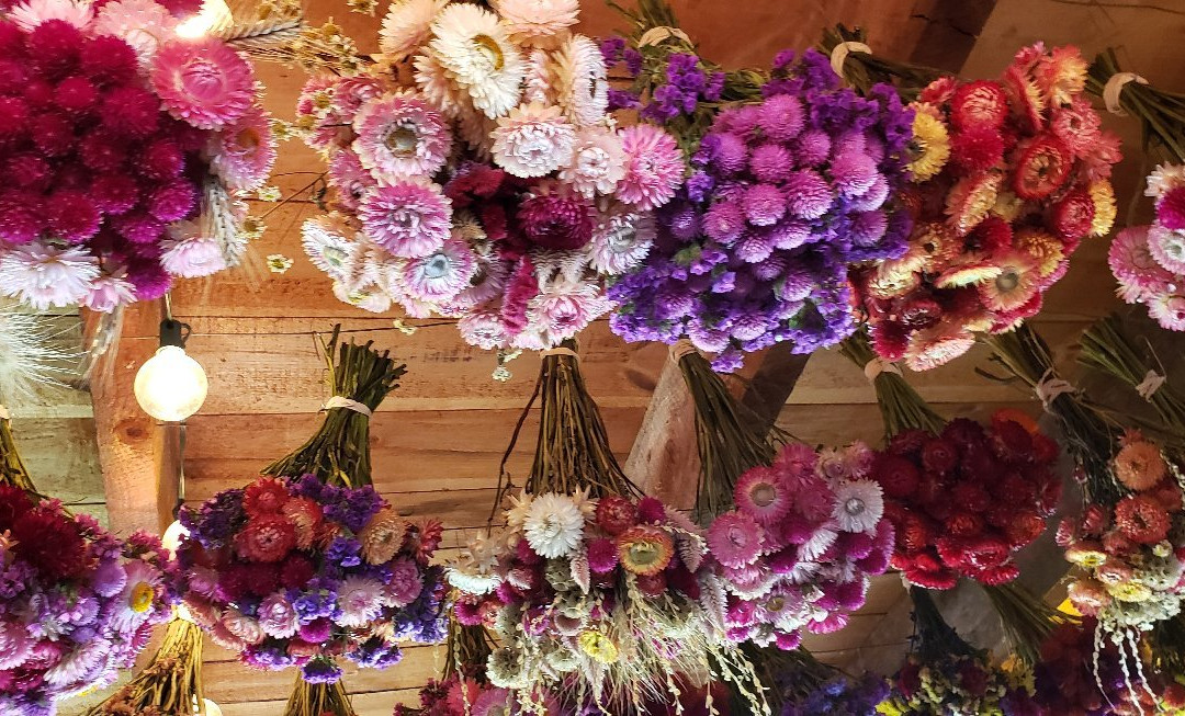 Riverview Farm-Plainfield必去景点