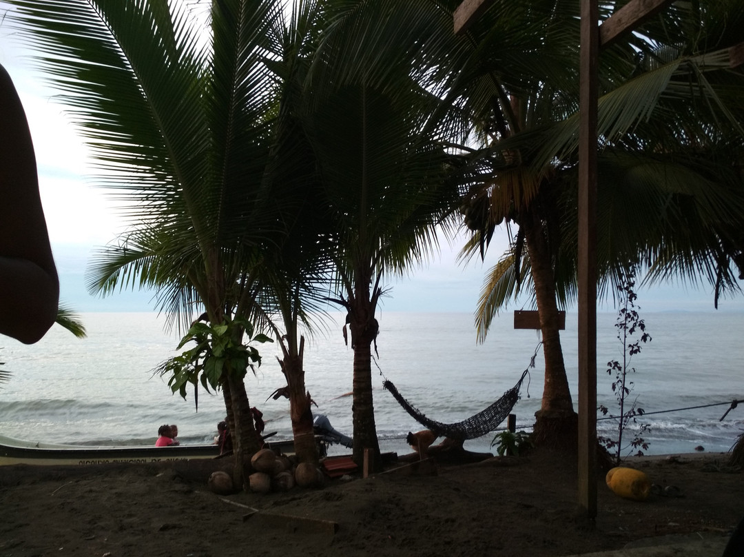 Posada La Sirena Negra主图