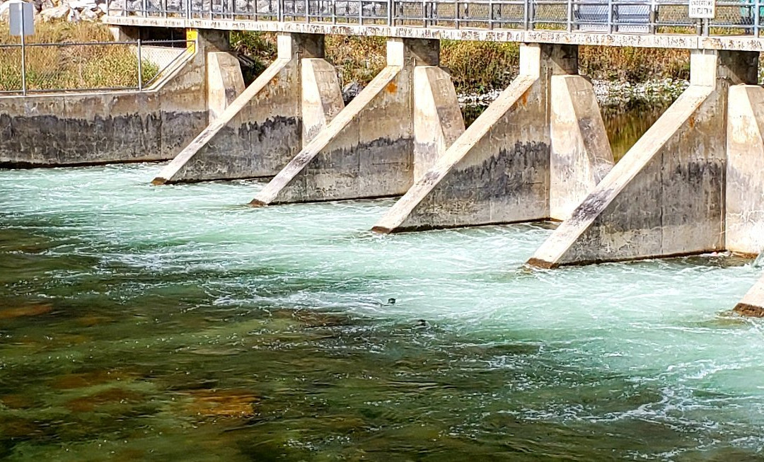 Okanagan Falls Provincial Park景点图片
