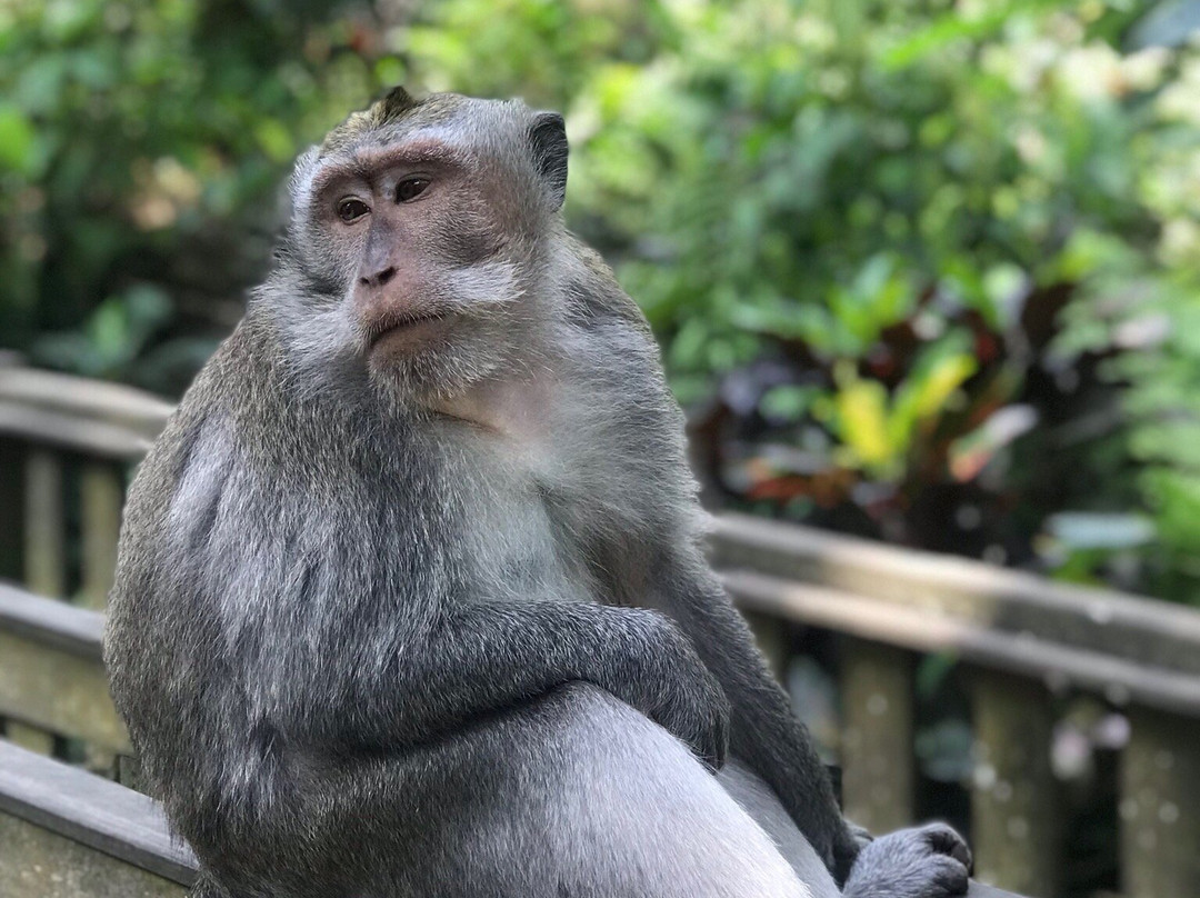 The Land Bali Tour-长谷必去景点