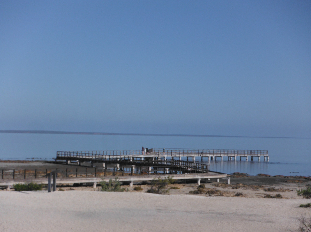 Hamelin Pool Marine Nature Reserve景点图片