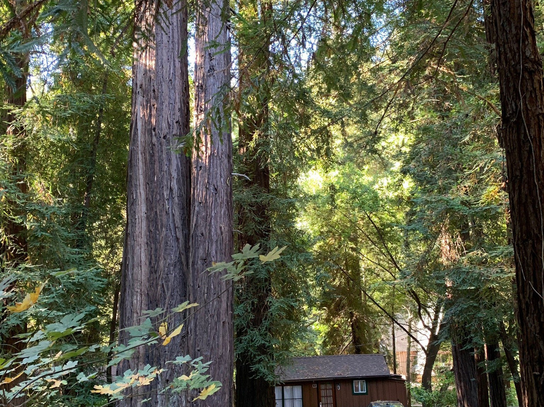 利普伍德度假村主图