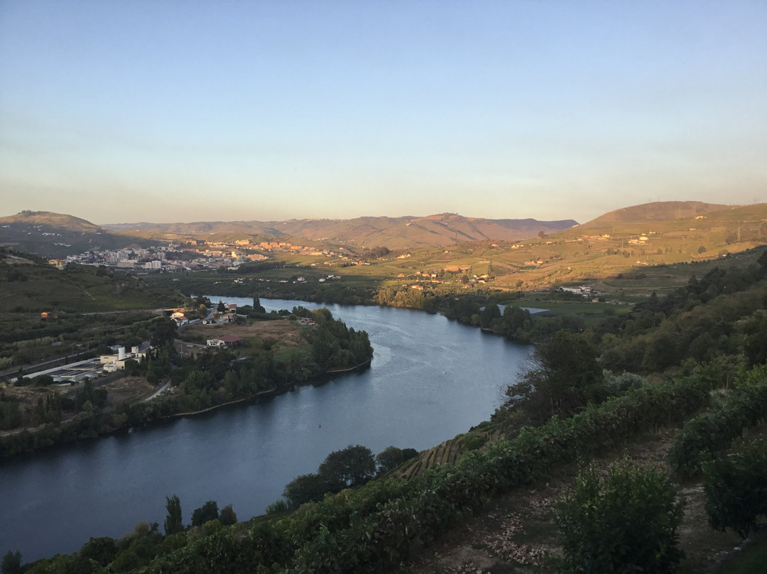 Delfim Douro Hotel主图