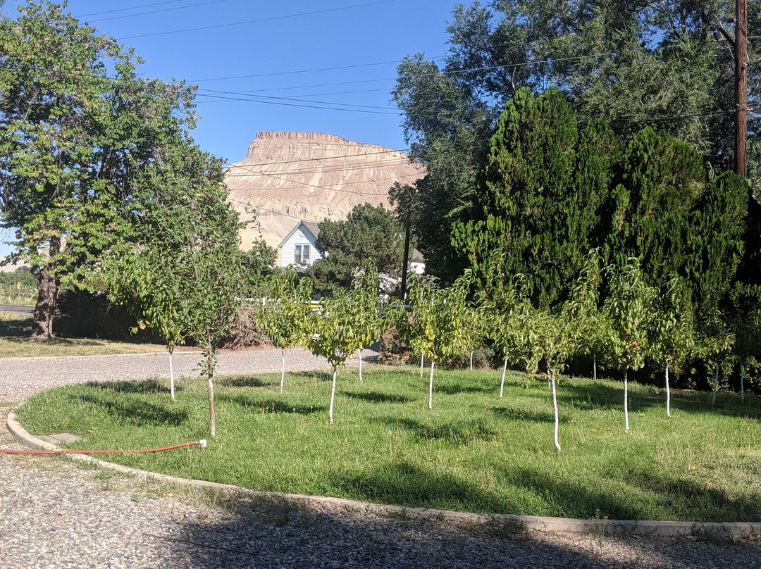 Vistas And Vineyards B&b主图