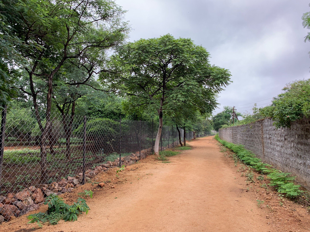 Mahavir Harina Vanasthali National Park景点图片