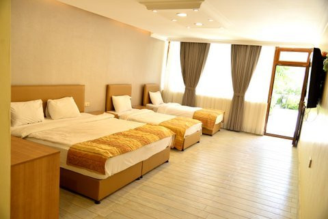 Stars Hotel and Swedish Village主图