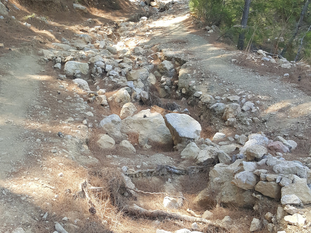 Kato Lako Beach-Kárpathos必去景点