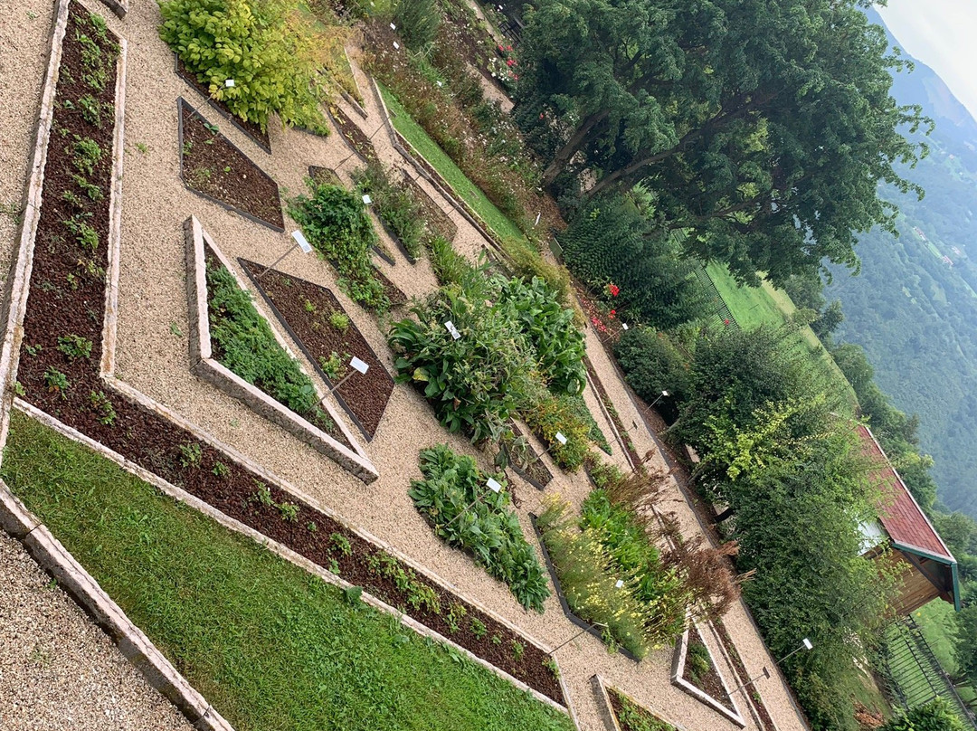 Giardino Botanico - Orto dei Semplici