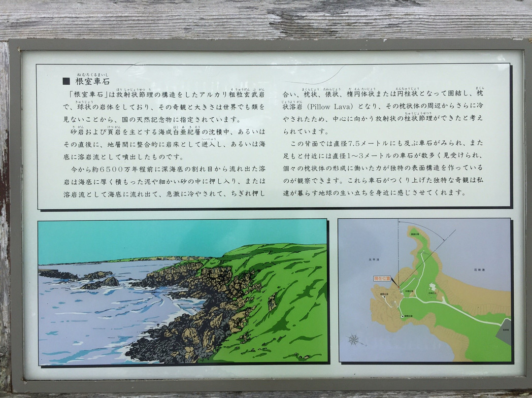 Nemuro Kurumaishi-根室市必去景点