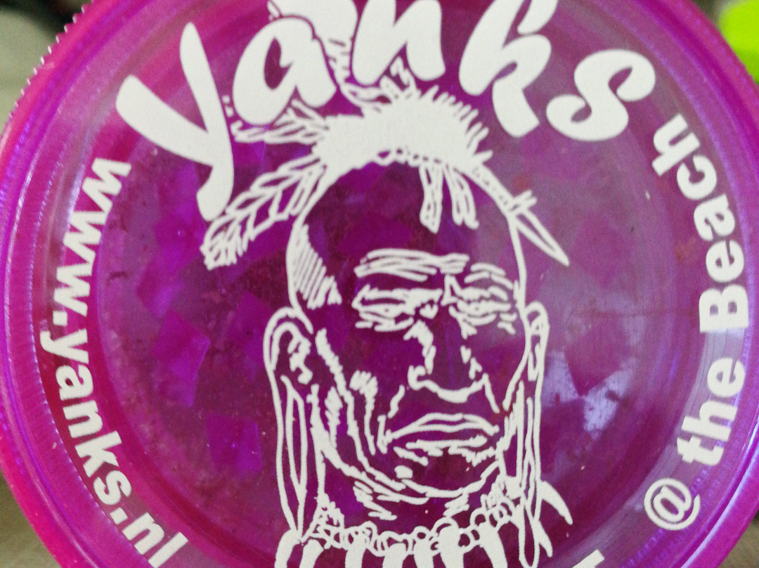 Yanks-赞德沃特必去景点