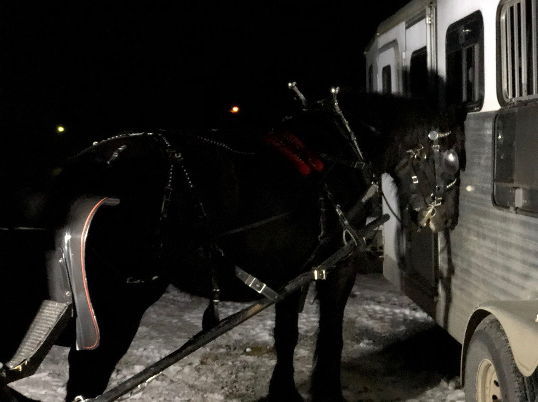 A Time to Remember Carriage and Sleigh Rides-Hudson Falls必去景点
