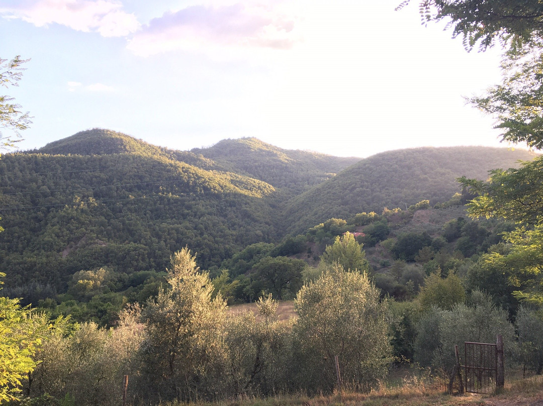 Agriturismo Santalvico