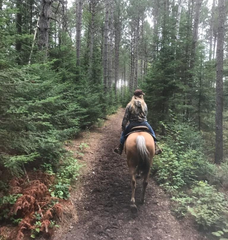 Holiday Acres Resort主图