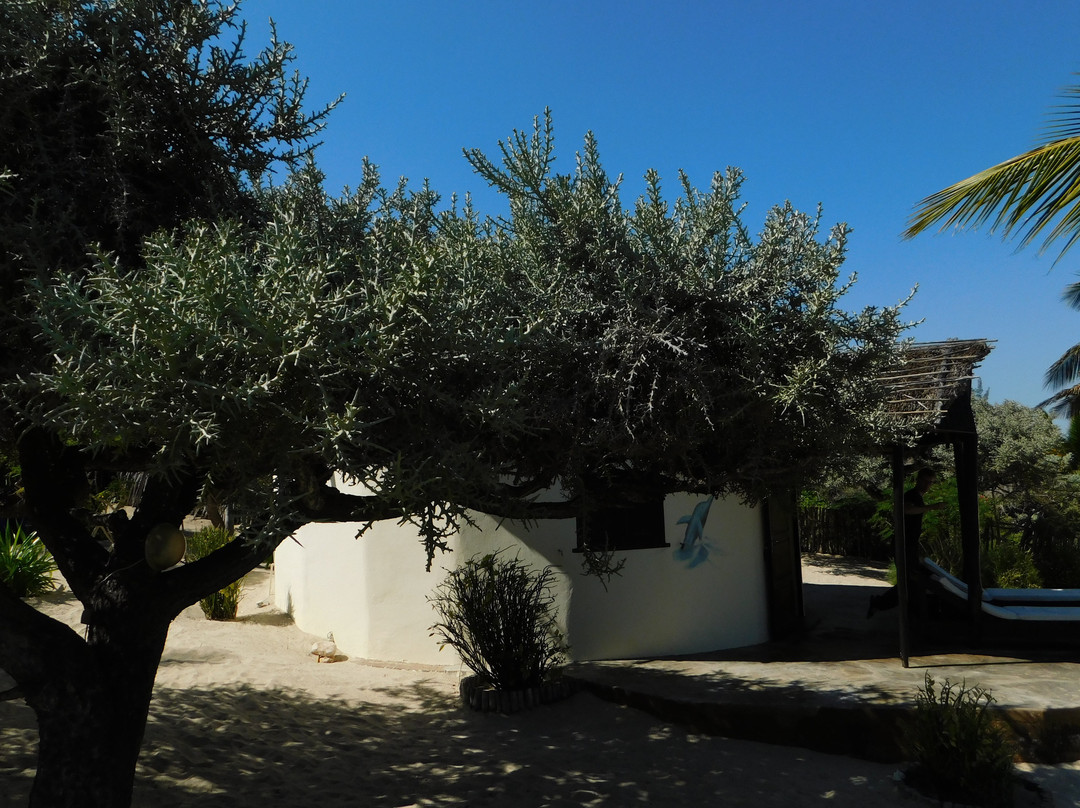 Hotel de la Plage - Ifaty主图