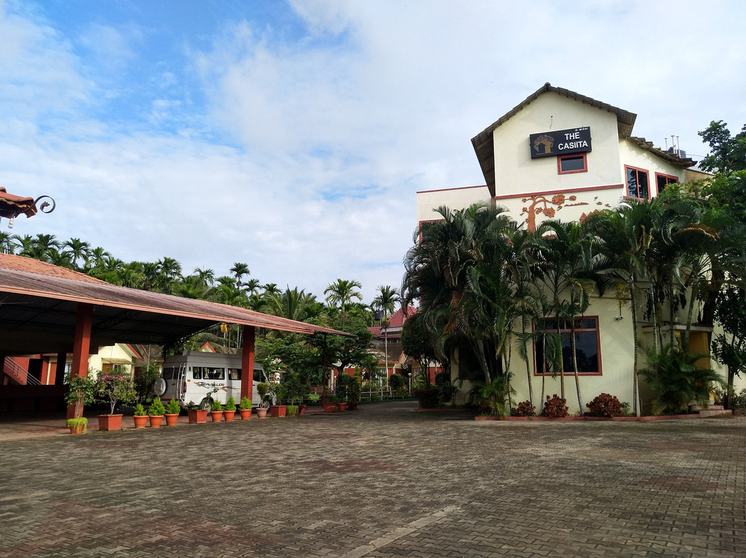 The Casiita主图