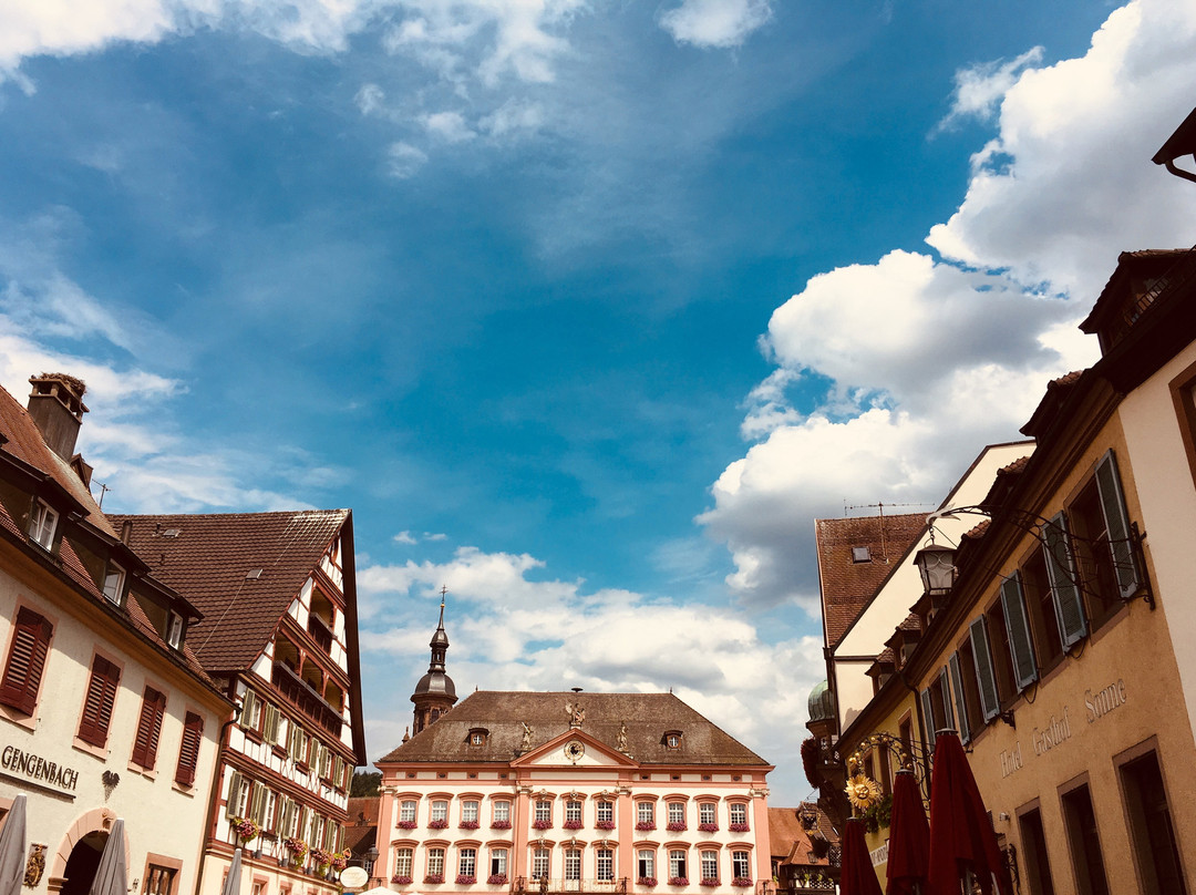 Hotel Restaurant Sonne主图