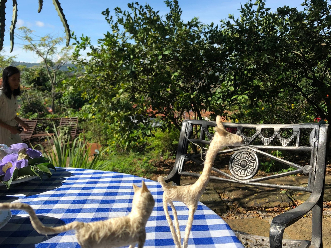 Casa Barichara Boutique主图