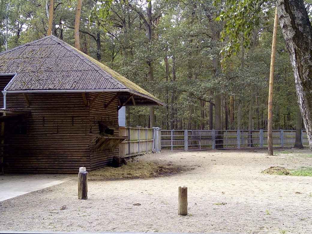 Animal Farm景点图片
