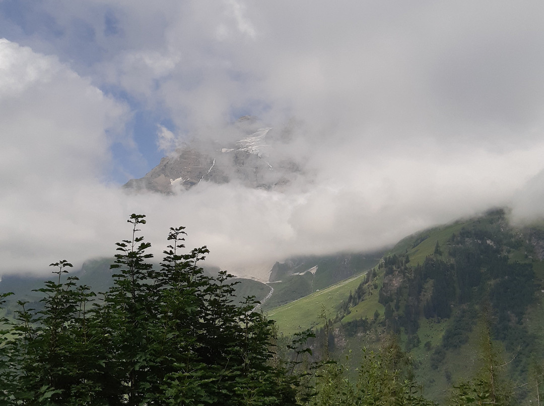 Alpengasthof Enzingerboden主图