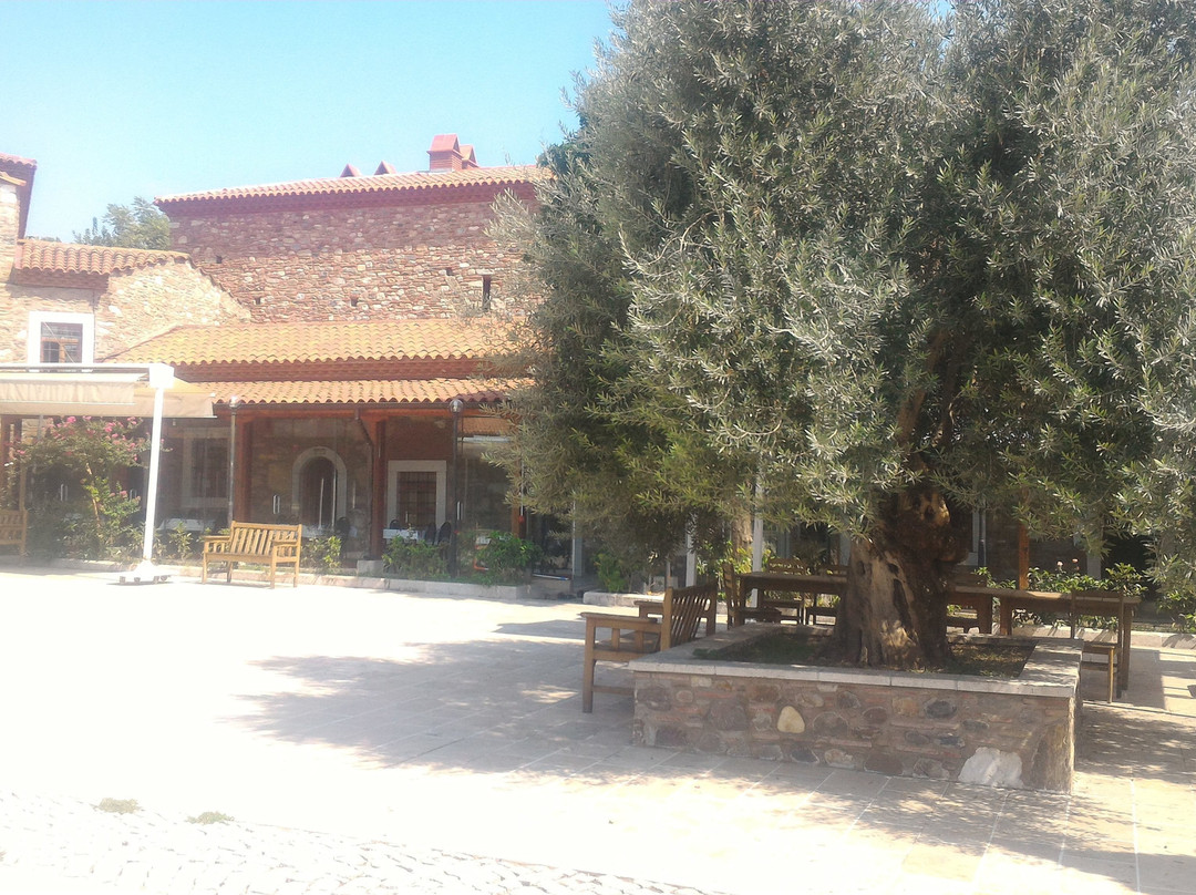 Aydın Nasuhpasa Kulliyesi景点图片
