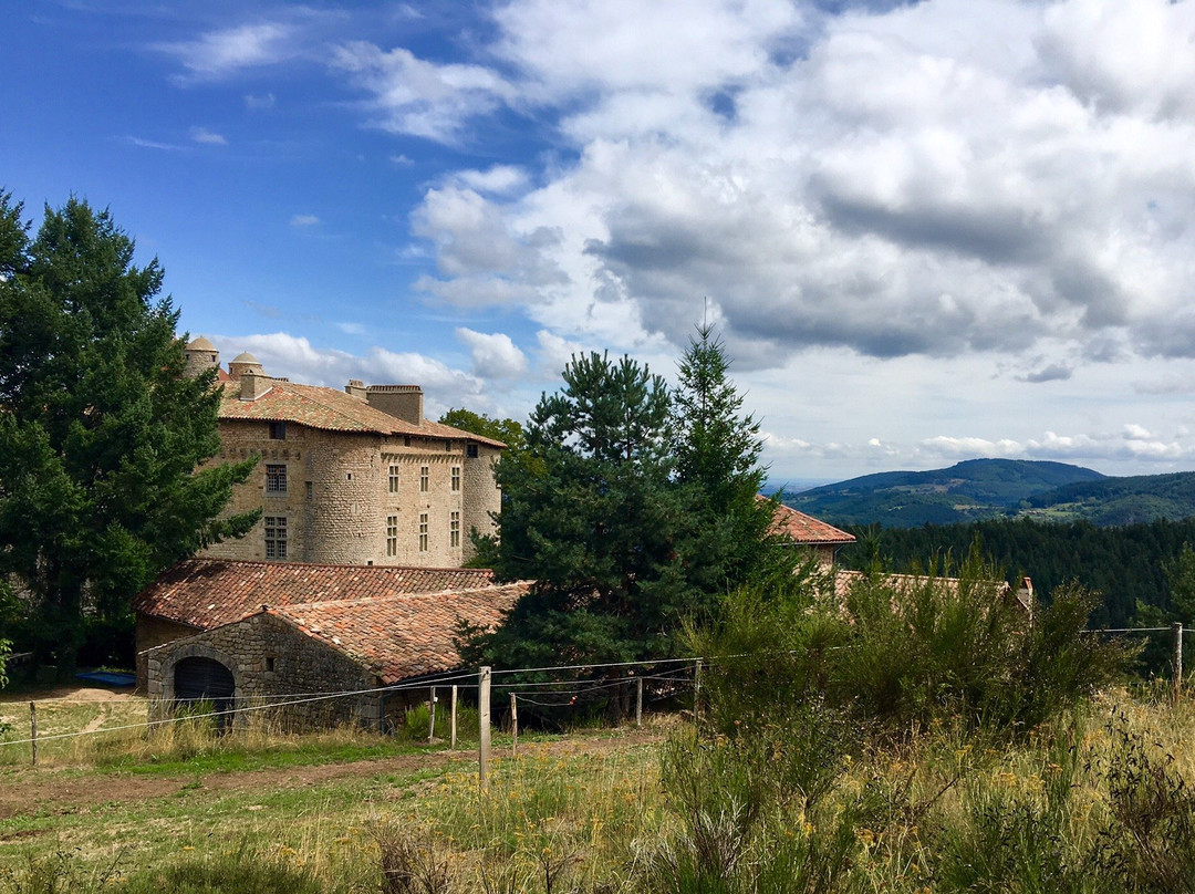 Chateau de Maisonseule-Saint-Basile必去景点