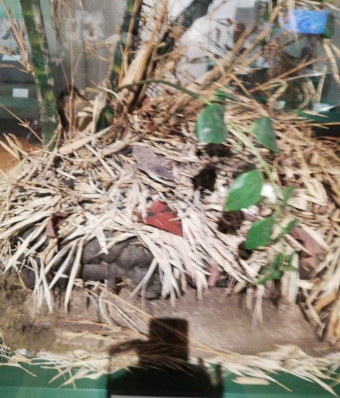 National Museum of the Philippines (Kabayan Branch)-Kabayan必去景点