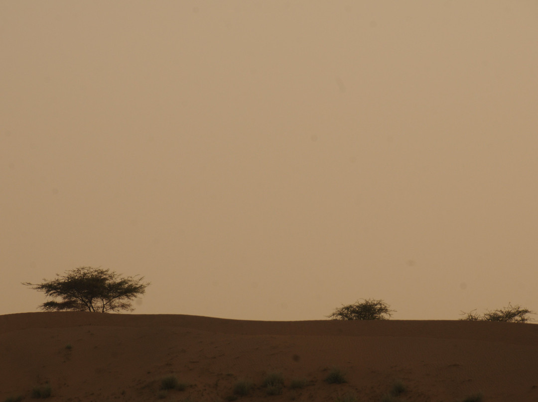 Camel Safari景点图片